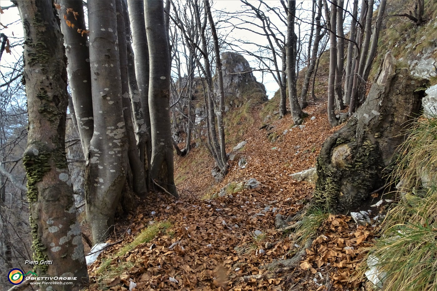 92 Sul sent. 223 dalla Baita Alta scendiamo nel  bosco al punto di partenza.JPG